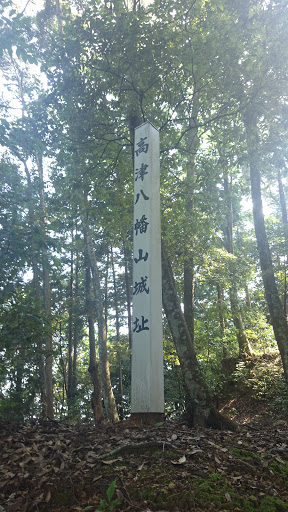 高津八幡山城址(高津城)