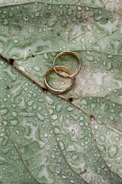 Hochzeitsfotograf Bettina Gunics (gunicsbettina). Foto vom 4. November 2019