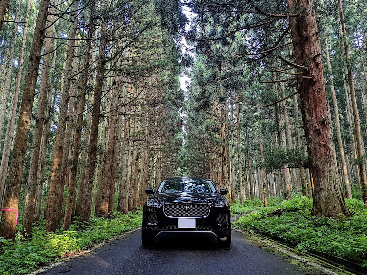エキシージのJAGUAR・long drive・E-PACEに関するカスタム事例の投稿画像1枚目