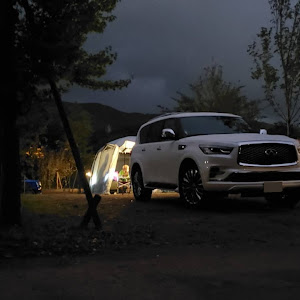 QX80