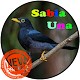 Download Canto de Sabiá Una For PC Windows and Mac 1.0