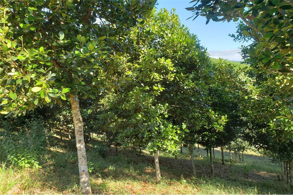 Fazenda