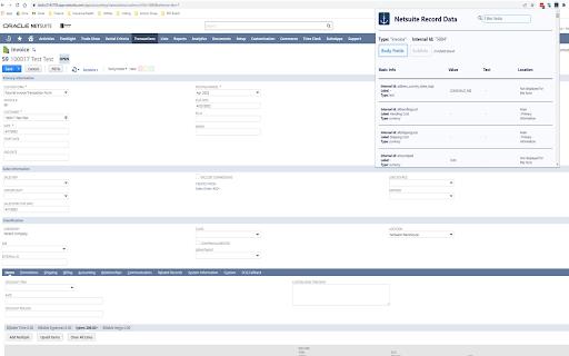 NetSuite Record Data