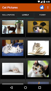 Cat wallpapers and funny pics - náhled