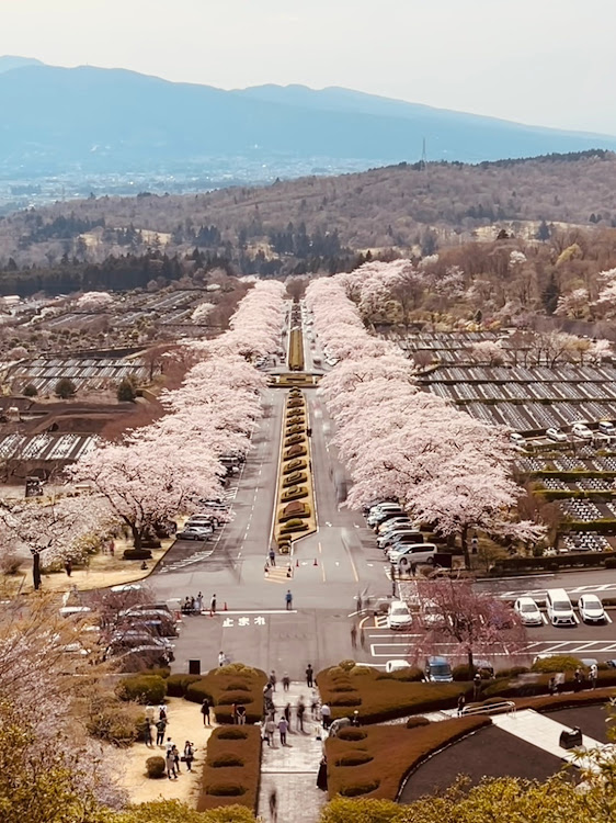 の投稿画像2枚目