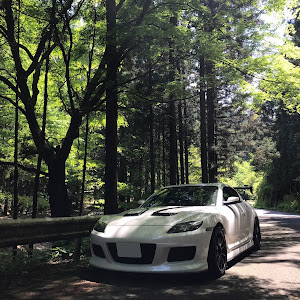 RX-8 SE3P