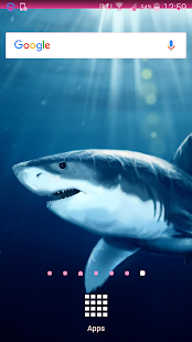 Free Shark Wallpapers APK for Android