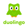 Duolingo  icon