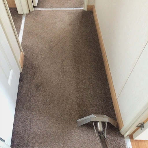 Carpet Cleaning