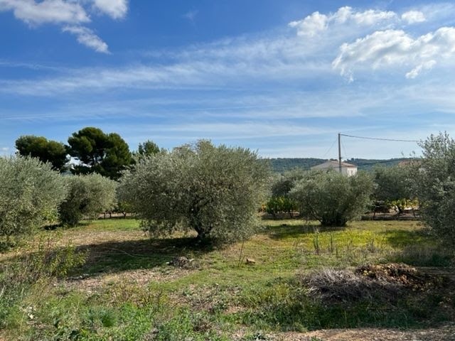 Vente terrain  505 m² à La Fare-les-Oliviers (13580), 290 000 €