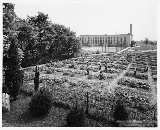 Victory Garden at West Liberty School