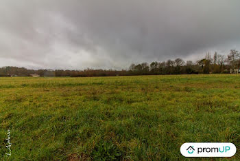 terrain à Saint-Front-de-Pradoux (24)