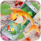 Download Koi Fish Live Wallpaper For PC Windows and Mac 1.0