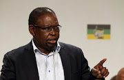 ANC's subcommittee on economic transformation chairman Enoch Godongwana.