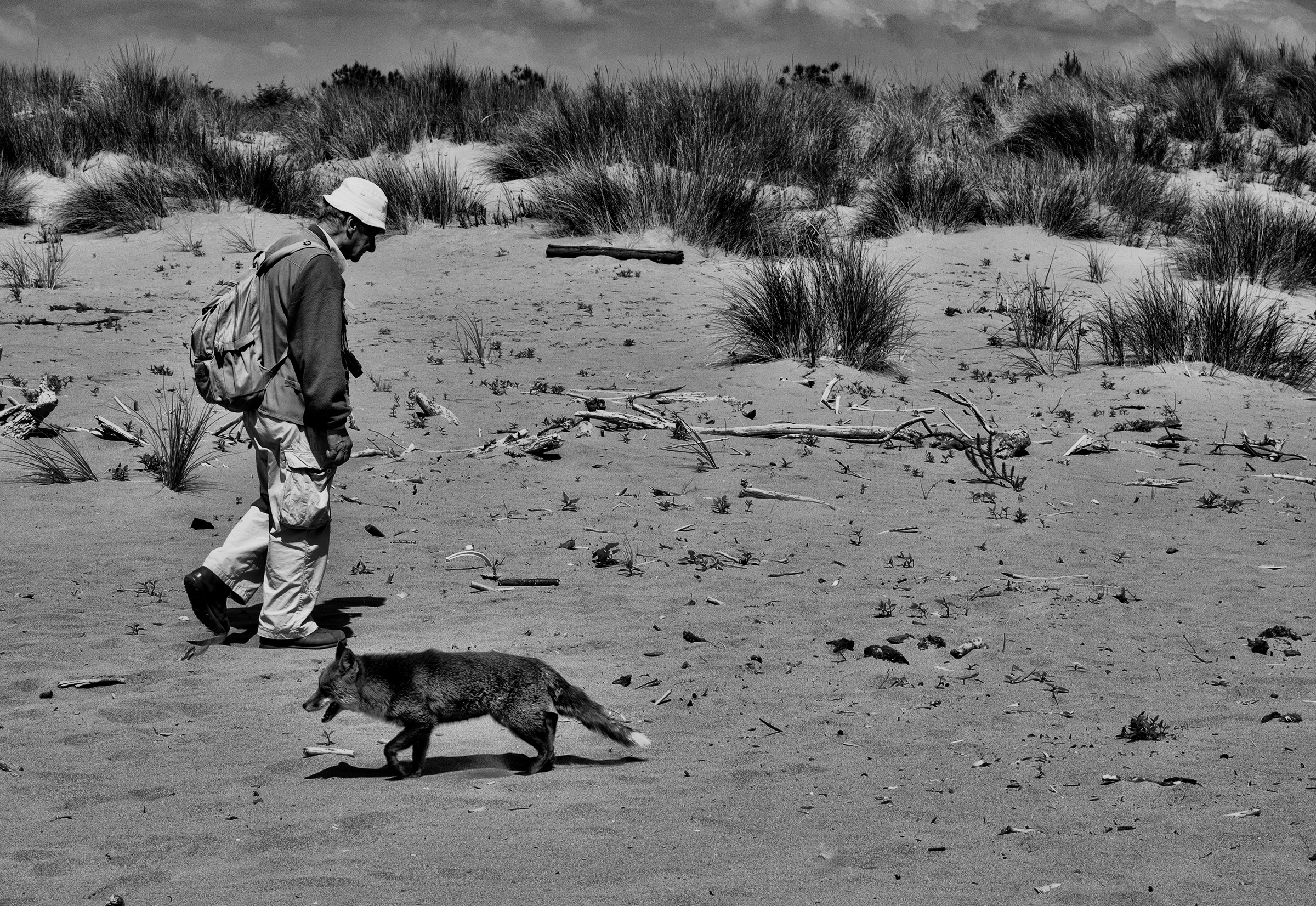 in direzione ostinata e contraria di fabio1962