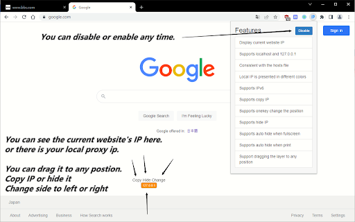 Website Server IP - Supports IPv6,Copy,Hide