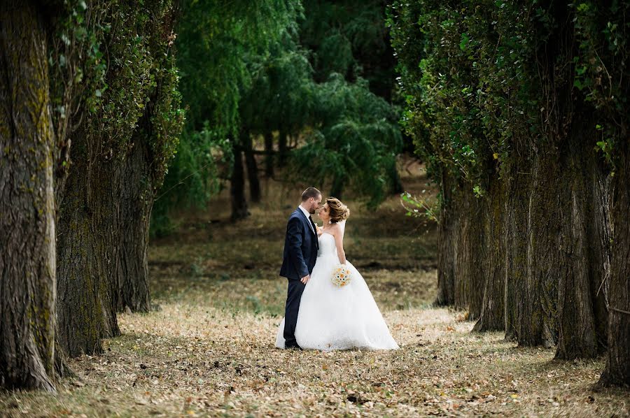 Wedding photographer Aleksey Chipchiu (mailin315). Photo of 20 February 2017