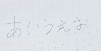 主の字