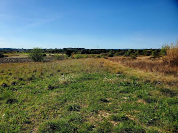 terrain à Loupian (34)