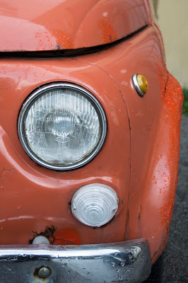 fanale di alessia campolo