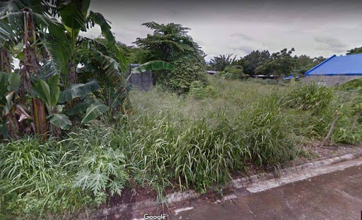 Corner house and lot for sale