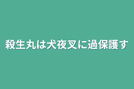 殺生丸は犬夜叉に過保護過ぎる