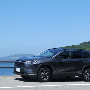 RAV4 AXAH52