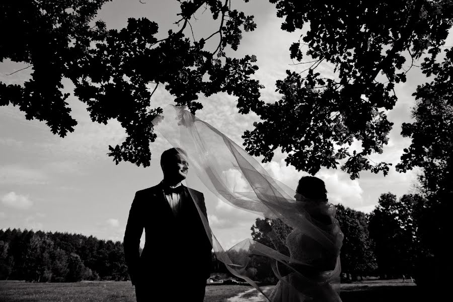 Fotógrafo de casamento Pavel Erofeev (erofeev). Foto de 13 de fevereiro 2020