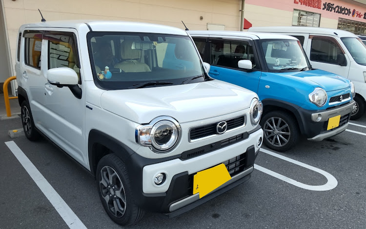 フレアクロスオーバーのツバメ撮影は難しいに関するカスタム事例の投稿画像1枚目