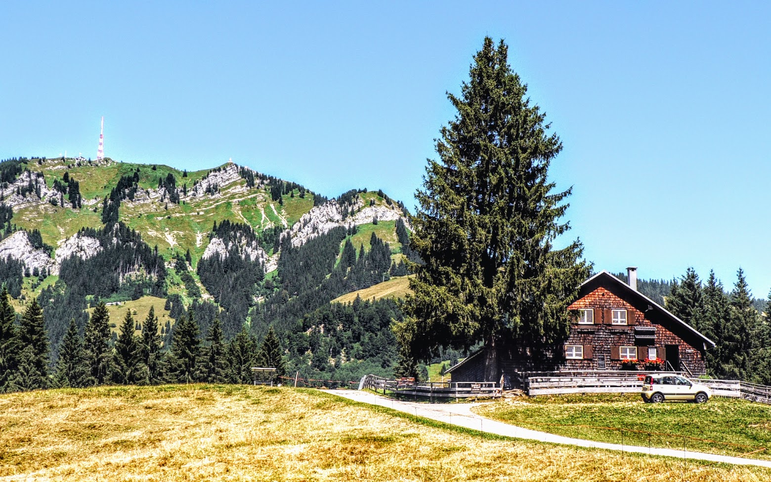 Berghofer Waldalpe Ofenalpe Sonthofen Winkel Grünten Sendemast Denkmal Übelhorn Allgäu Bayern