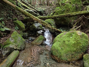 沢を渡渉