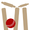 Item logo image for Live Cricket Score