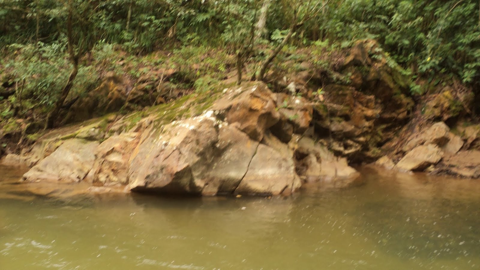 DSC01623.JPG