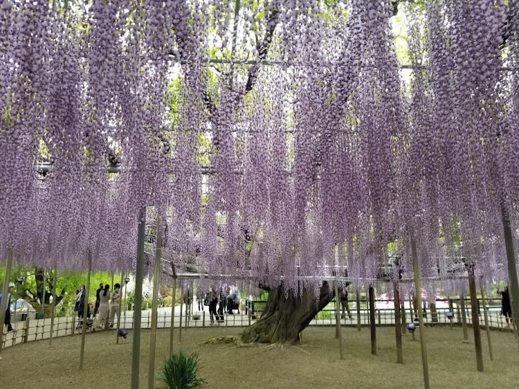 の投稿画像3枚目