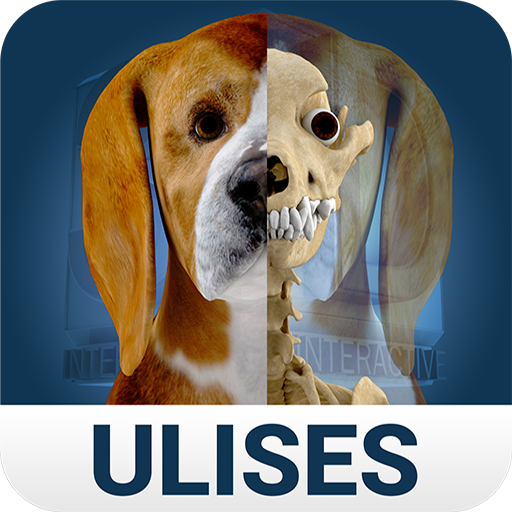 Osteology in Dogs 醫療 App LOGO-APP開箱王