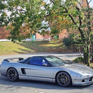 NSX NA1