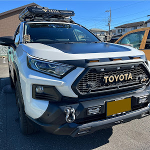 RAV4 AXAH54