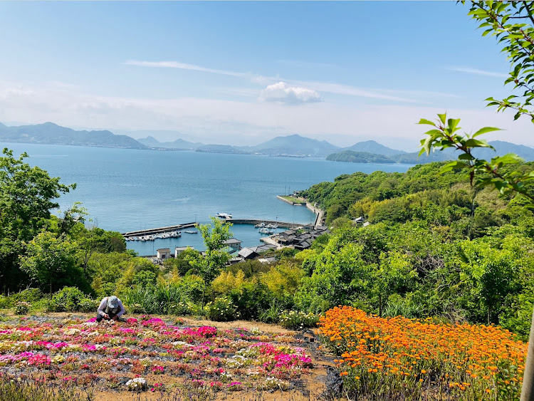 BRZの洗車・86・島旅・志々島・花畑に関するカスタム事例の投稿画像5枚目