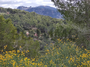 terrain à Bandol (83)