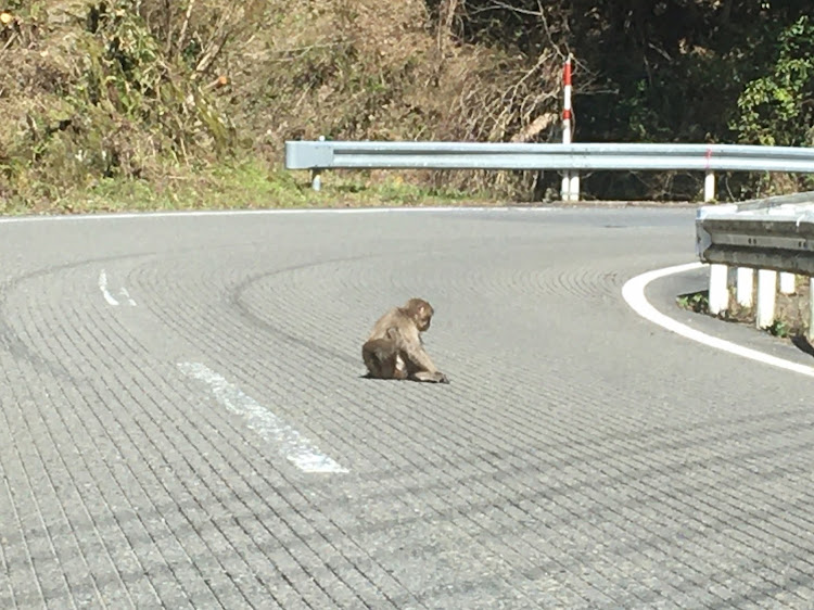 の投稿画像6枚目