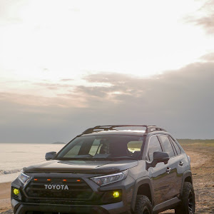 RAV4 MXAA54