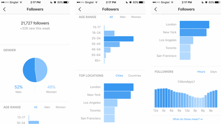 instagram business insights