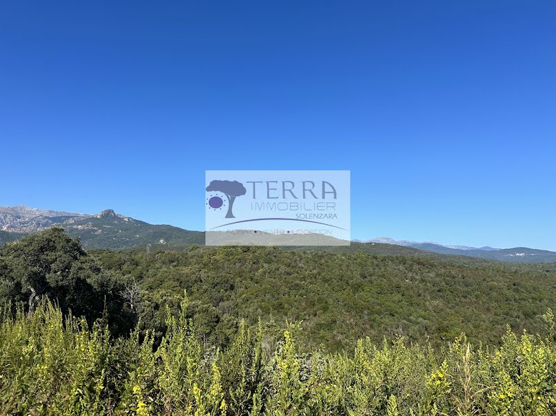 Vente terrain  1400 m² à Sari-Solenzara (20145), 248 000 €