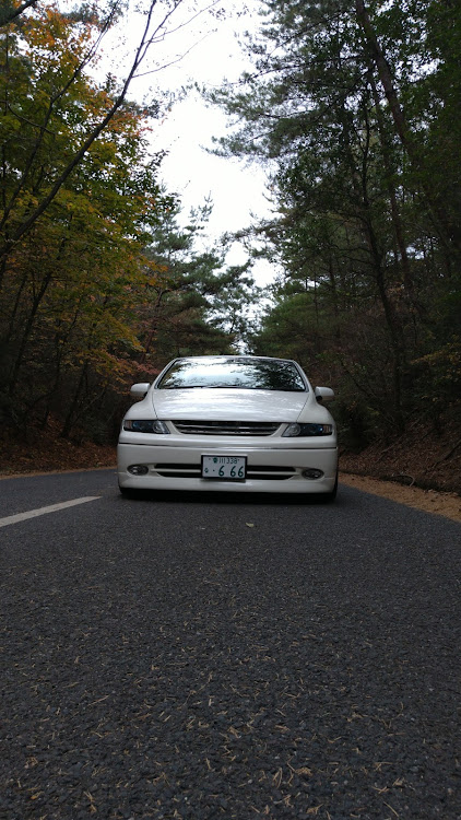 オデッセイの香川県・RB1に関するカスタム事例の投稿画像1枚目
