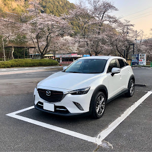 CX-3 DK5FW