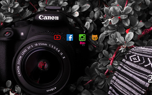 LensFocus Dashboard