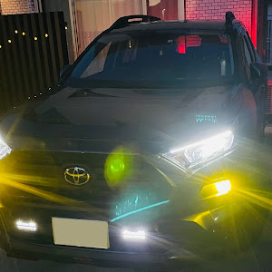 RAV4 MXAA54