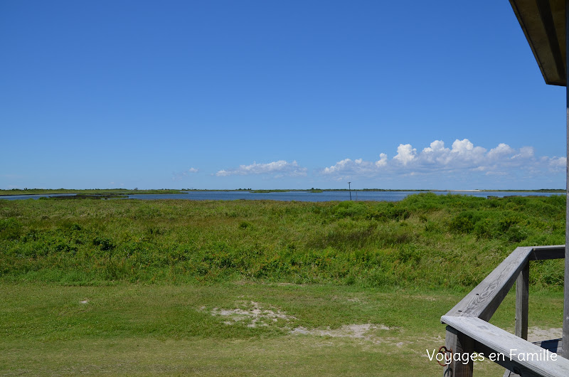 pea island wildlife refuge