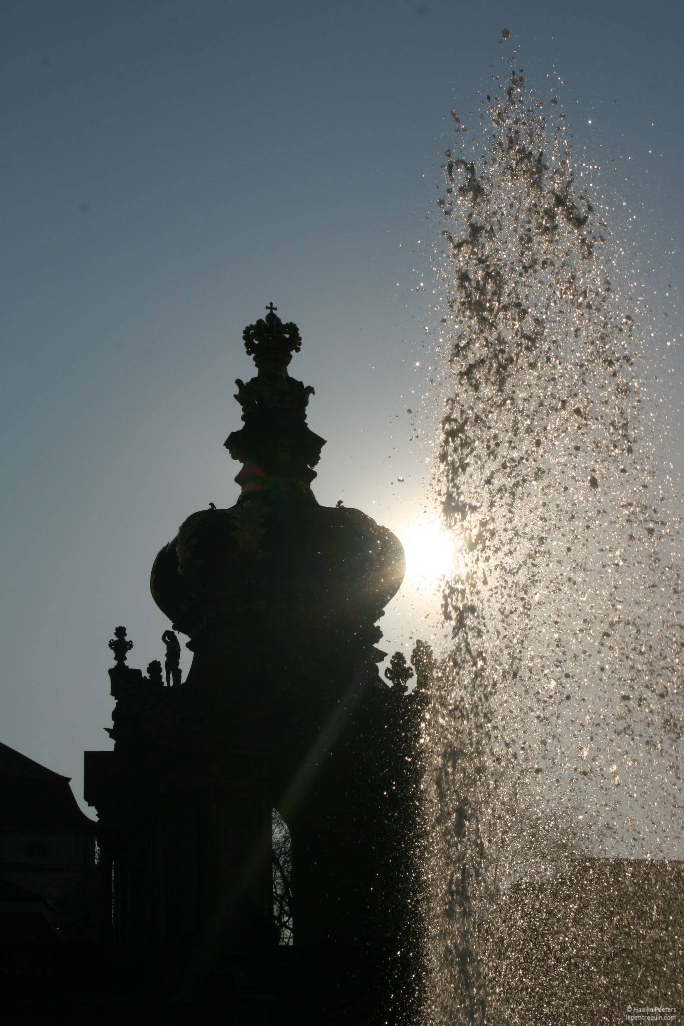 Zwinger Dresden (Le petit requin)