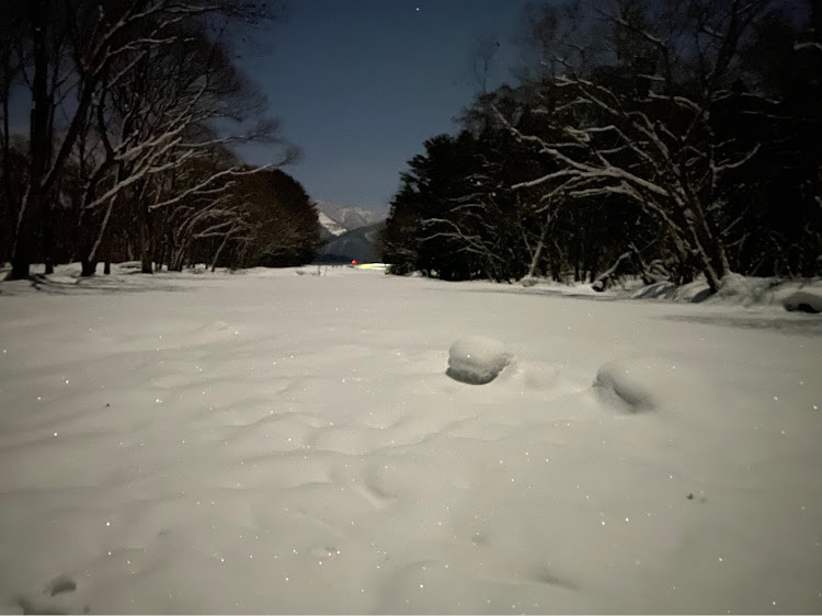 の投稿画像14枚目